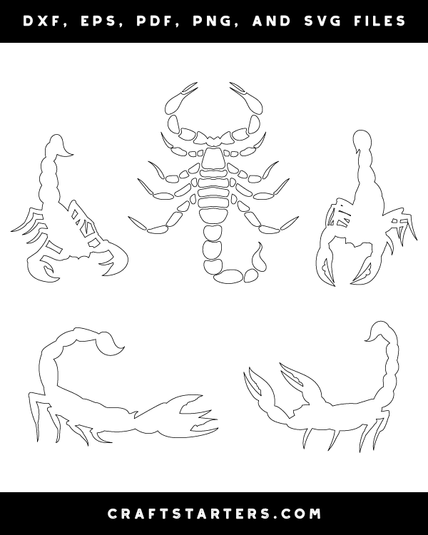 Scorpion Patterns