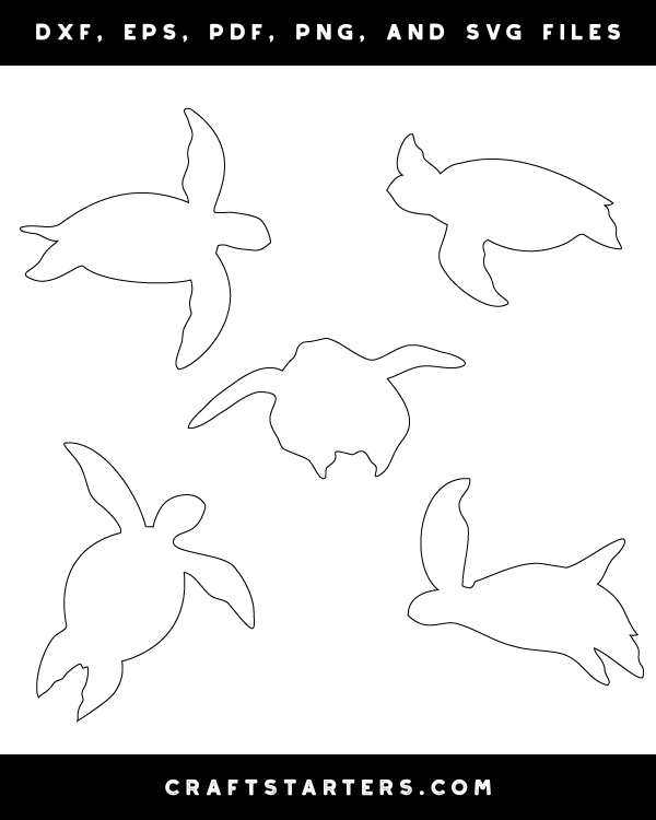 Sea Turtle Patterns