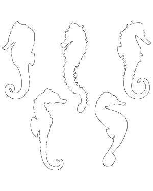 Seahorse Patterns