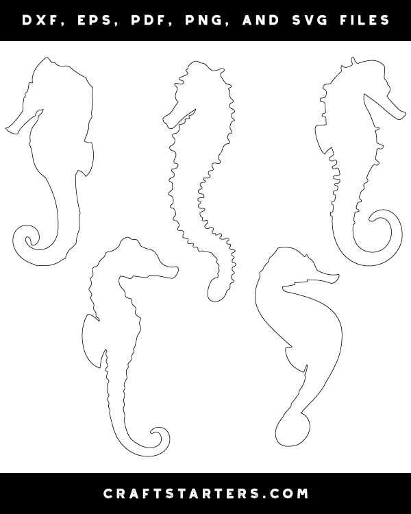 Seahorse Patterns