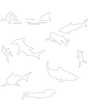 Shark and Swimmer Patterns