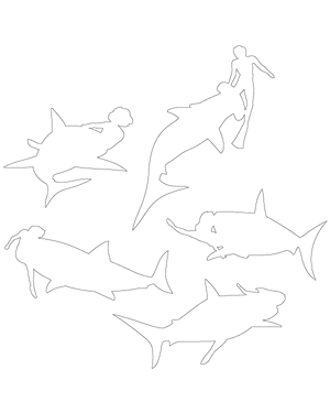 Shark Attack Patterns