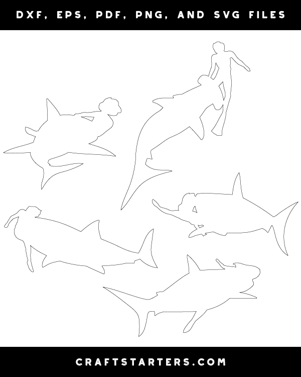 Shark Attack Patterns