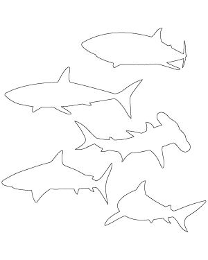 Shark Patterns