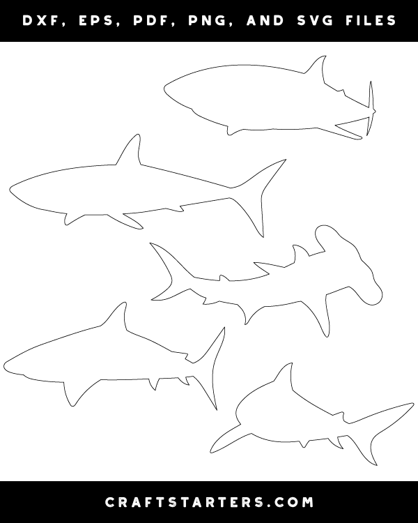 Shark Patterns