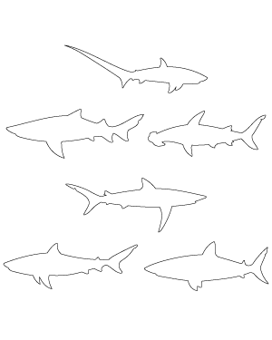 Shark Side View Patterns