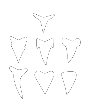 Shark Tooth Patterns