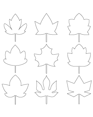 Simple Maple Leaf Patterns
