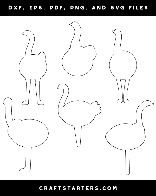 Simple Ostrich Patterns