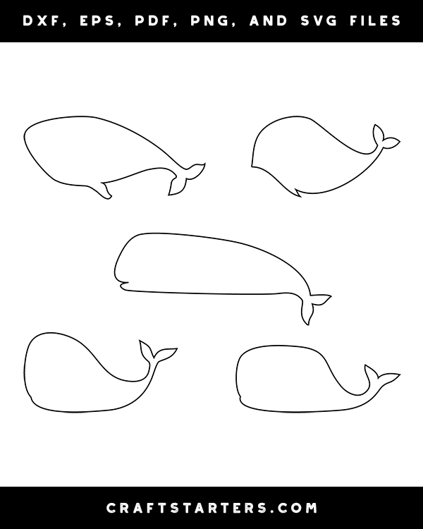 Simple Whale Patterns