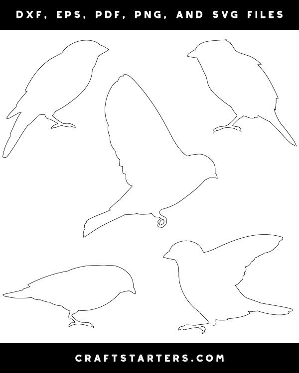 Sparrow Side View Patterns