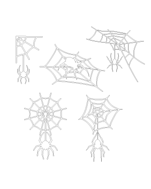Spider and Spider Web Patterns