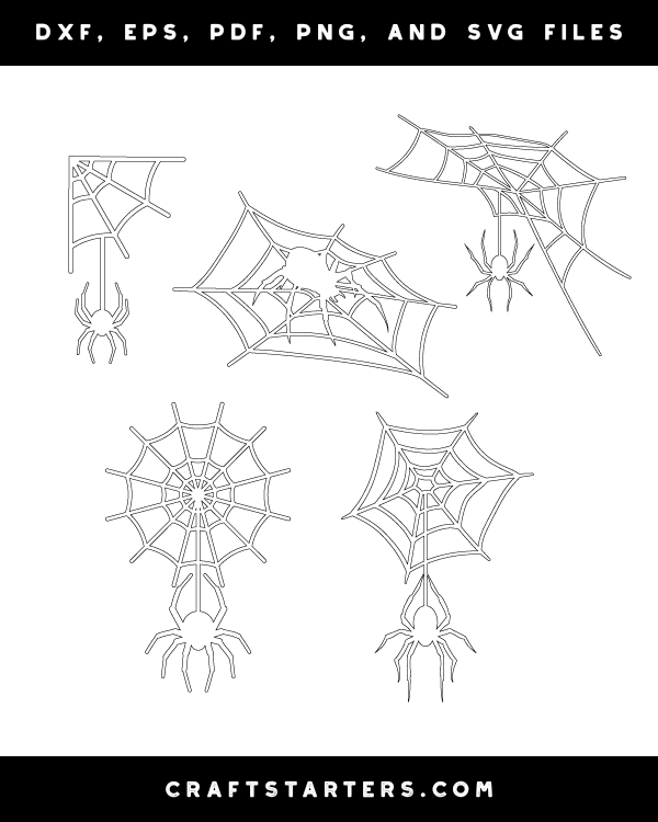 Spider and Spider Web Patterns