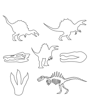 Spinosaurus Patterns