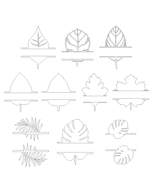 Split Leaf Patterns