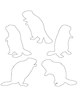 Standing Beaver Patterns