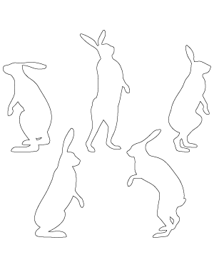 Standing Hare Patterns