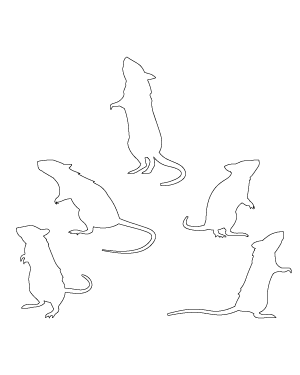 Standing Rat Patterns