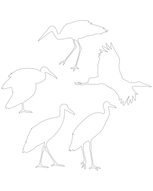 Stork Patterns