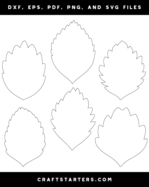 Strawberry Leaf Patterns