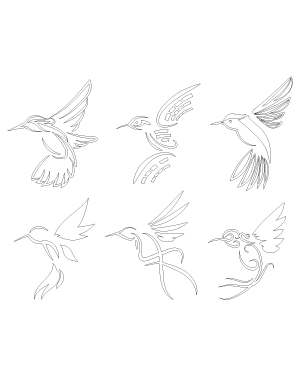 Stylized Hummingbird Patterns