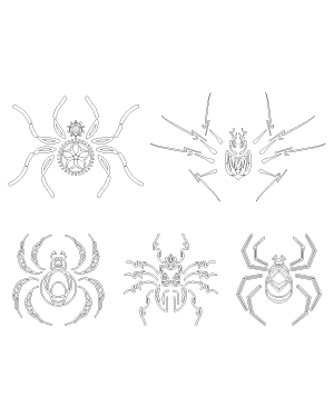 Stylized Spider Patterns