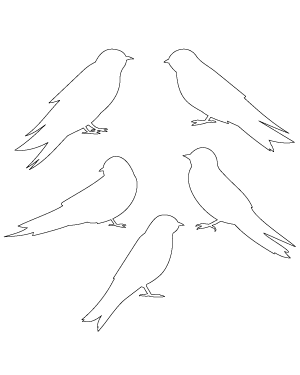 Swallow Side View Patterns