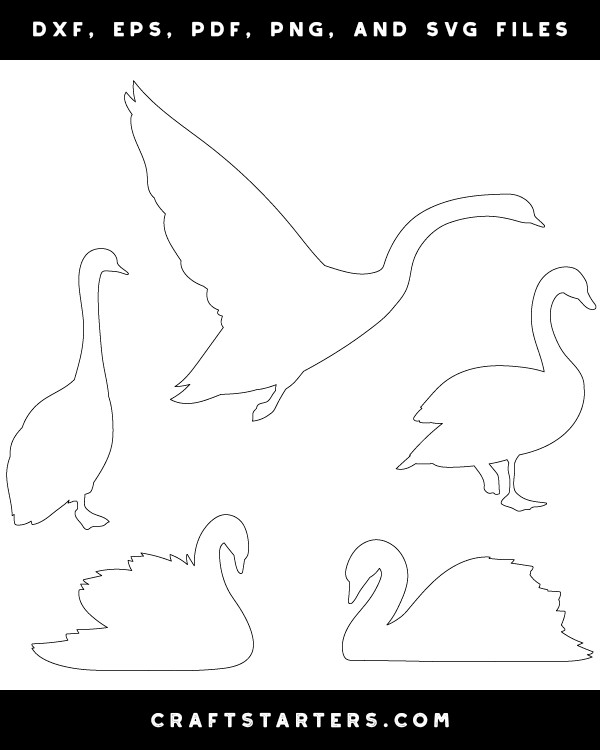 Swan Patterns