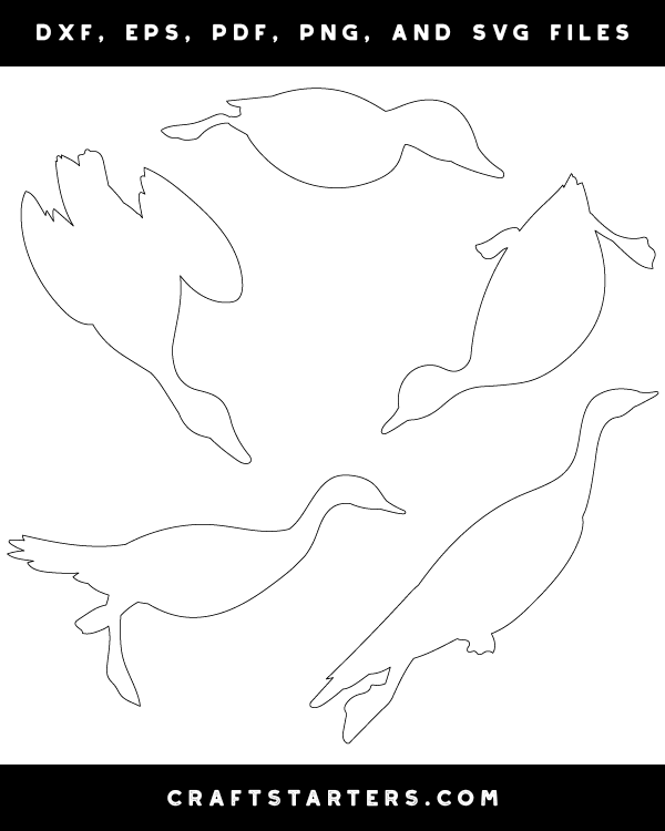 Swimming Duck Patterns