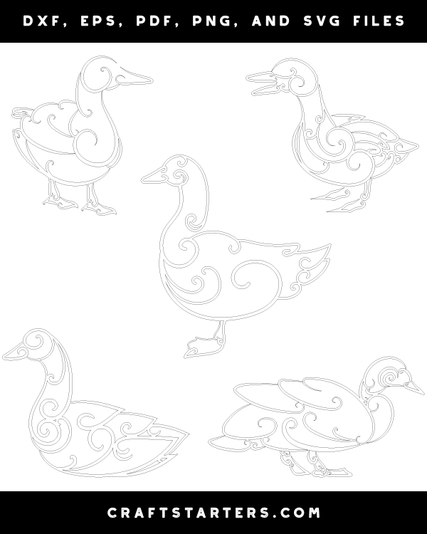 Swirly Duck Patterns