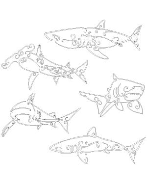 Swirly Shark Patterns