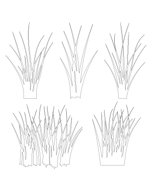 Tall Grass Patterns