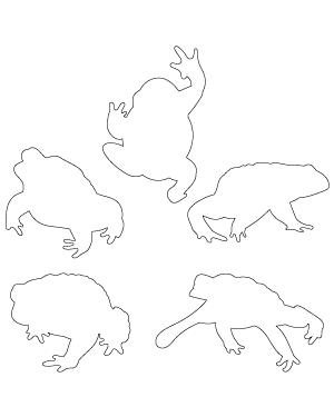 Toad Patterns
