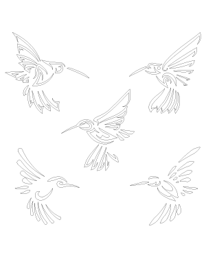 Tribal Hummingbird Patterns