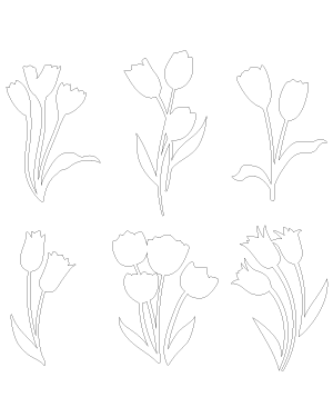 Tulips Patterns