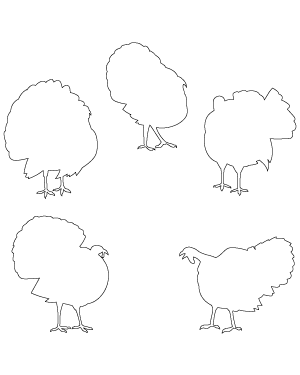 Turkey Patterns