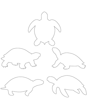 Turtle Patterns