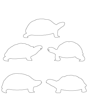 Turtle Side View Patterns