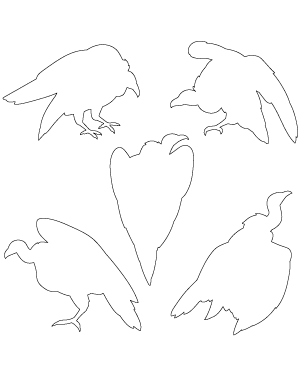 Vulture Patterns