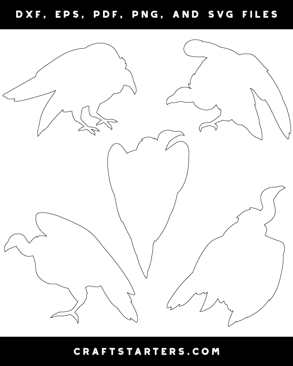 Vulture Patterns