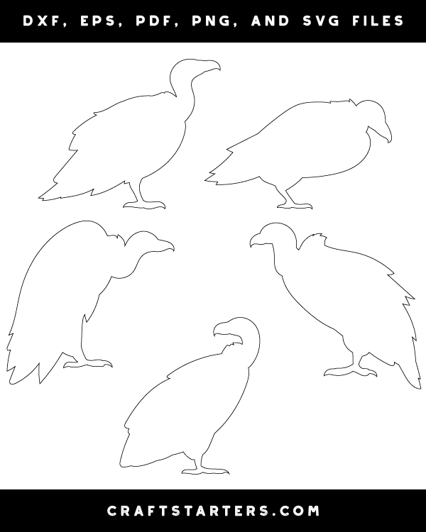 Vulture Side View Patterns