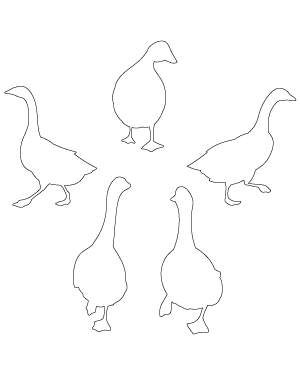 Walking Goose Patterns