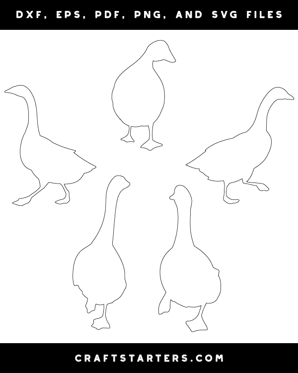 Walking Goose Patterns