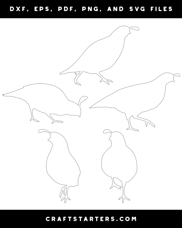 Walking Quail Patterns