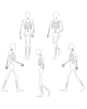 Walking Skeleton Patterns