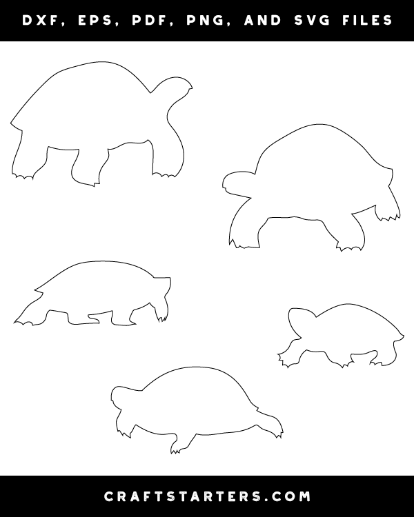 Walking Turtle Patterns