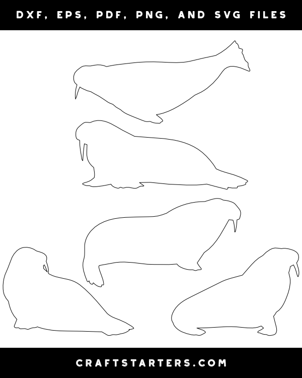 Walrus Side View Patterns