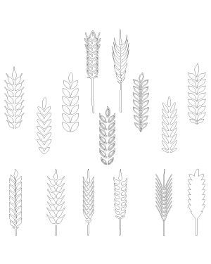 Wheat Patterns