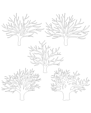 Winter Oak Tree Patterns